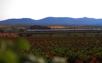 Programa N. 20_23 de Julio de 2014