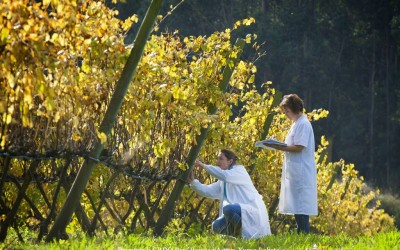 Programa N. 19_16 de Julio de 2014