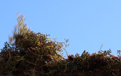 Programa N. 24_17 de Septiembre de 2014