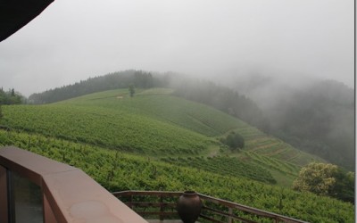 Programa N. 32 12 de Noviembre de 2014