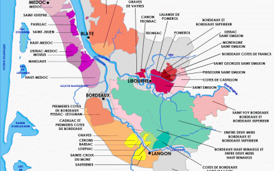 Programa N.40_21 de Enero de 2015