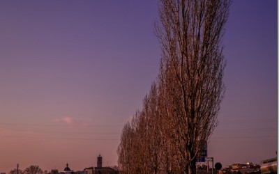 Programa N. 45_25 de Febrero de 2015