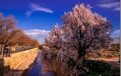 Programa N. 46_04 de Marzo de 2015