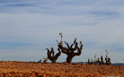 Programa N. 53_29 de Abril de 2015