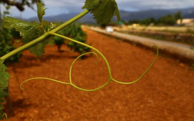 Programa N_55 de 13 de Mayo de 2015