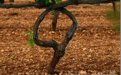 Programa N 56 de 27 de Mayo de 2015