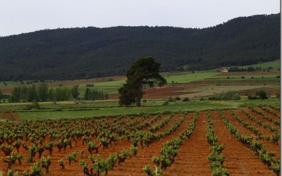 Programa N. 54_06 de Mayo de 2015