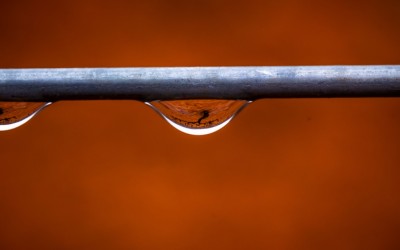 Programa N. 58 de 10 de Junio de 2015