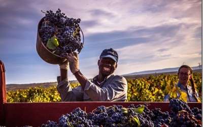 Programa N. 67_ 16 de Septiembre de 2015