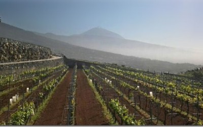 Programa N. 65_ 2 de Septiembre de 2015