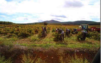 Programa N. 71_14 de Octubre de 2015