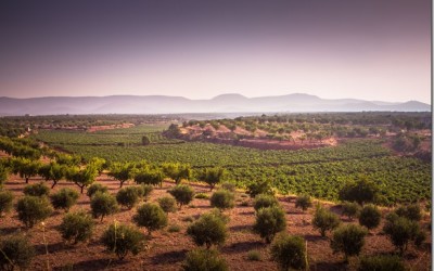 Programa N. 77 de 25 de Noviembre de 2015
