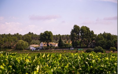 Programa N 85 de 20 de Enero de 2016