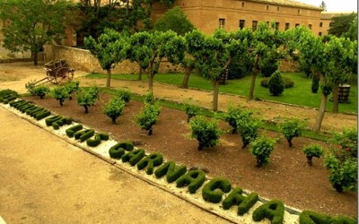 Programa N 268 de 20 de Mayo de 2020