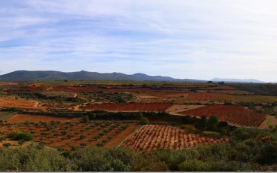 Programa N 82 de 30 de Diciembre de 2015