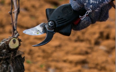 Programa N 87 de 3 de Febrero de 2016