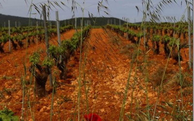 Programa N 90 de 24 de Febrero de 2016