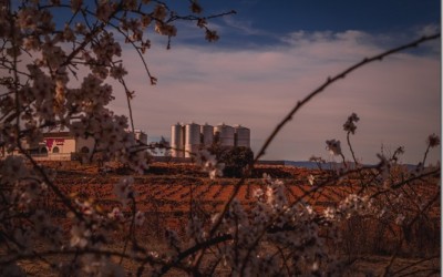 Programa N 96 de 13 de Abril de 2016