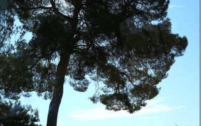 Programa N_104 de 08 de Junio de 2016