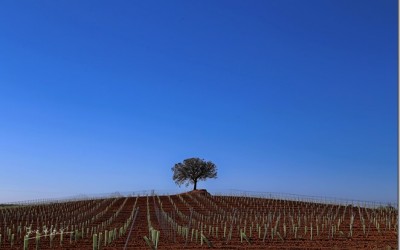 Programa N_109 de 13 de Julio de 2016