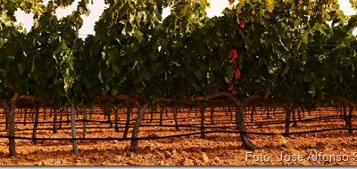 Programa N_110 de 20 de Julio de 2016