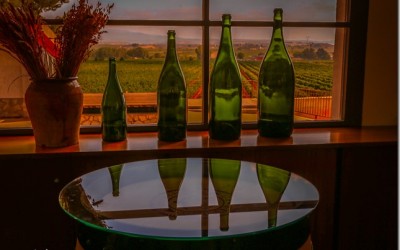 Programa N_113 de 21 de Septiembre de 2016