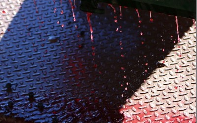 Programa N_114 de 28 de Septiembre de 2016