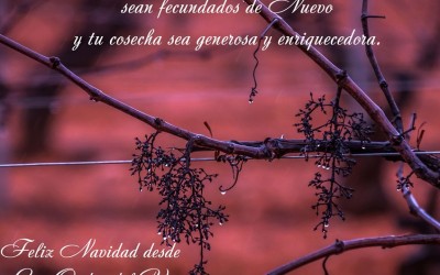 Feliz Navidad y Gran Año Nuevo 2017