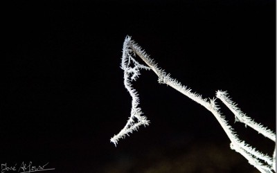 Programa N_125 de 4 de Enero de 2017