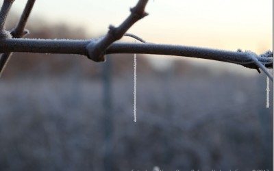 Programa N_127 de 18 de Enero de 2017