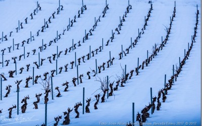 Programa N 129 de 01 de Febrero de 2017