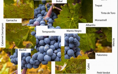 Programa N 134 de 8 de Marzo de 2017