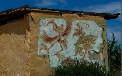 Programa N 146 de 31 de Mayo de 2017