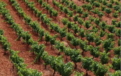 Programa N 150 de 28 de Junio de 2017