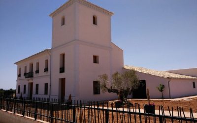 Programa N 151 de 5 de Julio de 2017