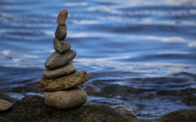 Programa N 157 de 20 de Septiembre de 2017