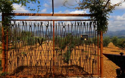 Programa N 161 de 25 de Octubre de 2017