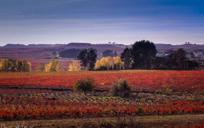 Programa N 164 de 22 de Noviembre de 2017