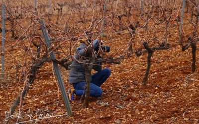 Programa N 169 de 17 de Enero de 2018