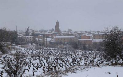 Programa N 175 de 28 de Febrero de 2018