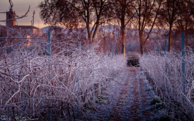 Pograma N 178 de 21 de Marzo de 2018