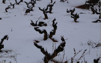 Programa N 176 de 7 de Marzo de 2018