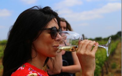 Programa n 186 de 16 de Mayo de 2018