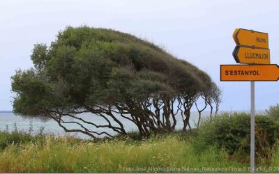 Programa N 188 de 30 de Mayo de 2018