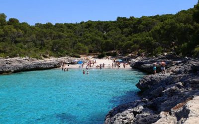 Programa N 191 de 20 de Junio de 2018