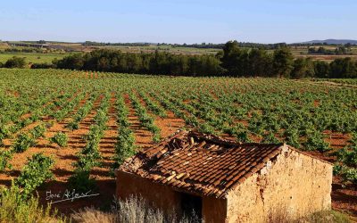 Programa N 193 de 04 de Julio de 2018