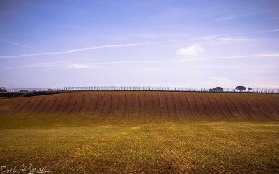 Programa N 198 de 26 de Septiembre de 2018