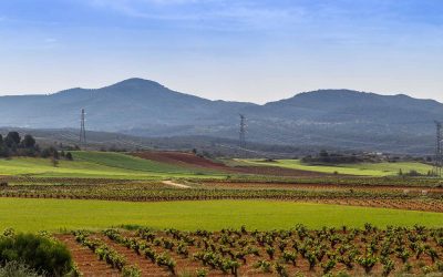 Programa N 201 de 17 de octubre de 2018