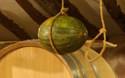 Programa N 209 de 12 de Diciembre de 2018