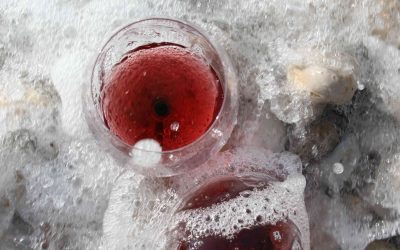 Programa N 215 de 6 de Febrero de 2019